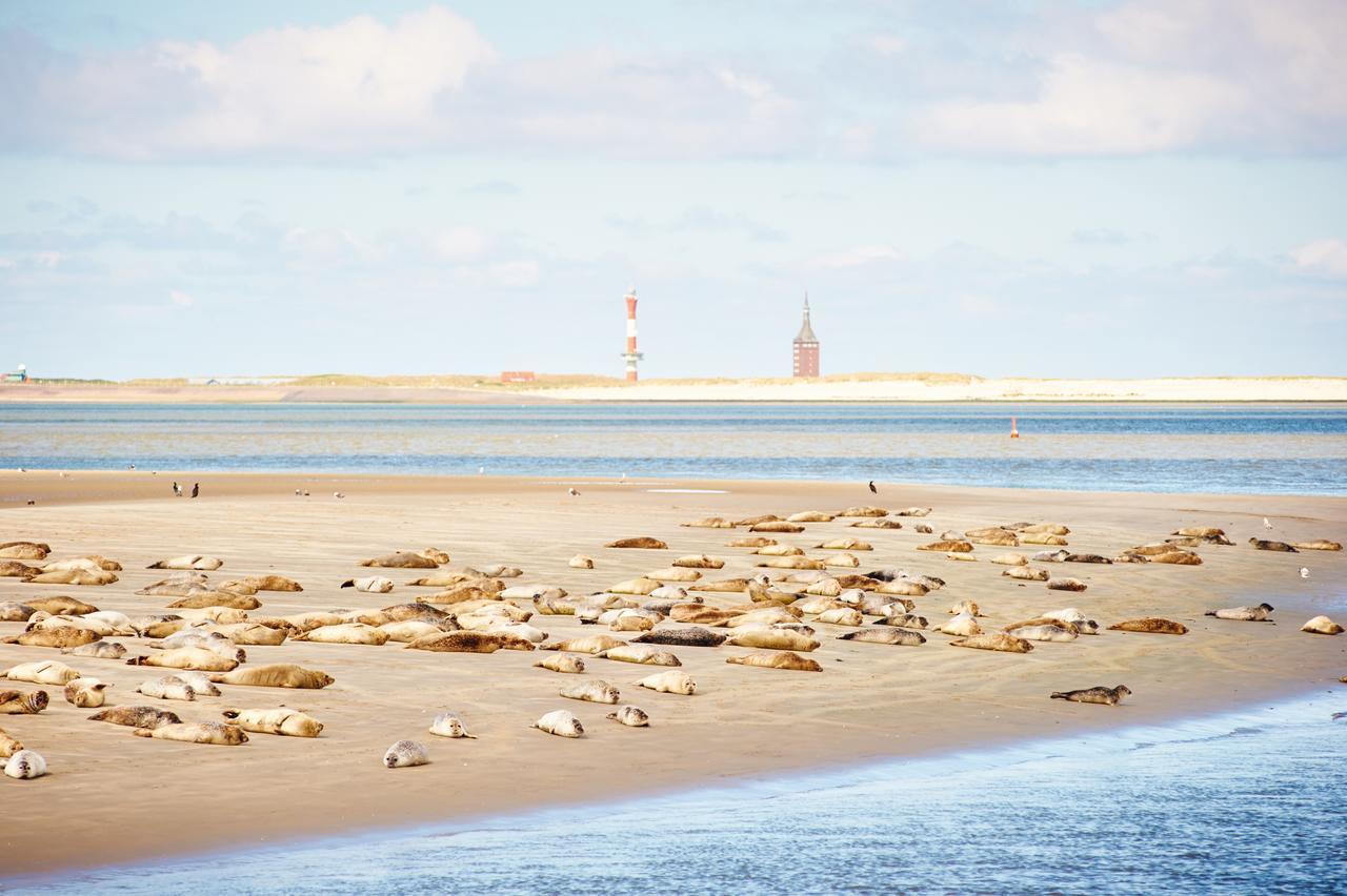 Jugendherberge Wangerooge Wangerooge Island Buitenkant foto